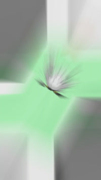 WORKOUT COLLECTION - Bird (hand drawn)