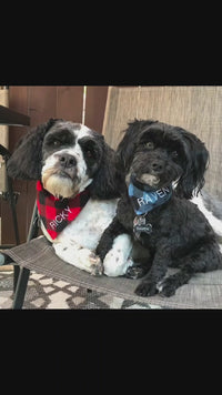 PERSONALIZED PET SHIRT - HAND-DRAWN FUR BABY